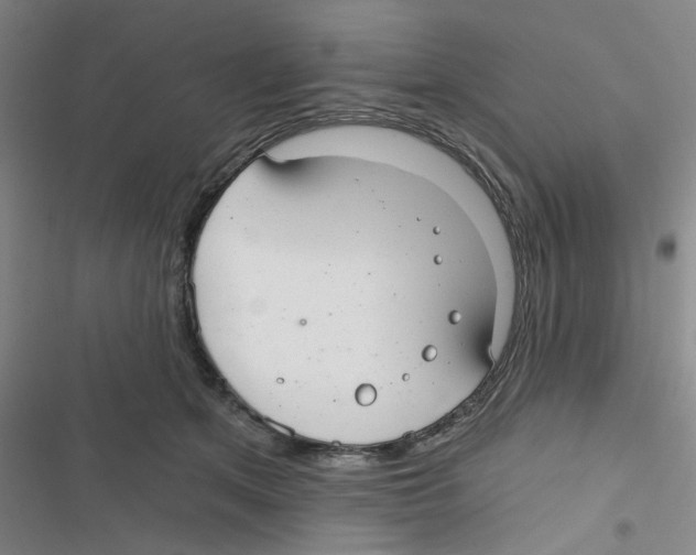 X0000116790513201001151104