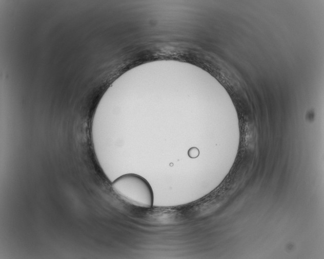 X0000116790514201001151104