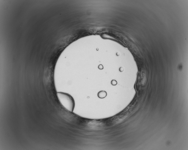 X0000116790515201001151104