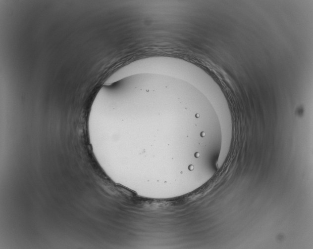 X0000116790517201001151104