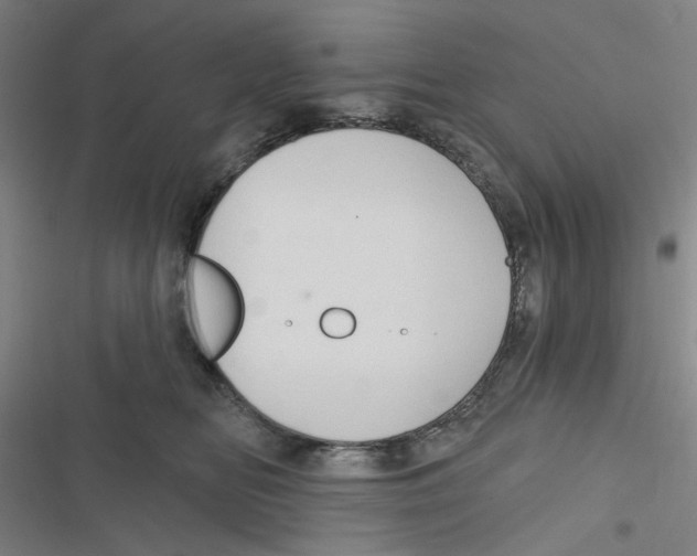 X0000116790518201001151104
