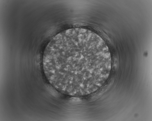 X0000116790519201001151104