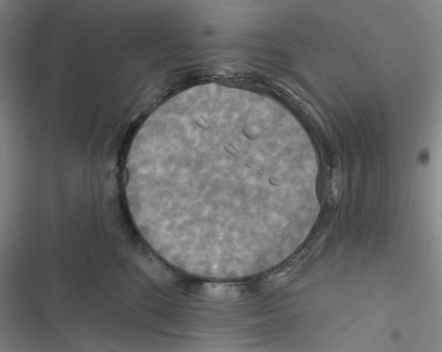 X0000116790520201001151104