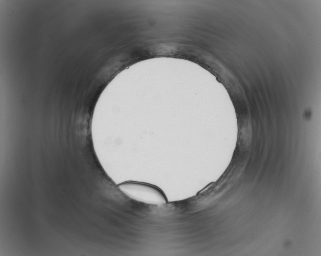X0000116790525201001151104