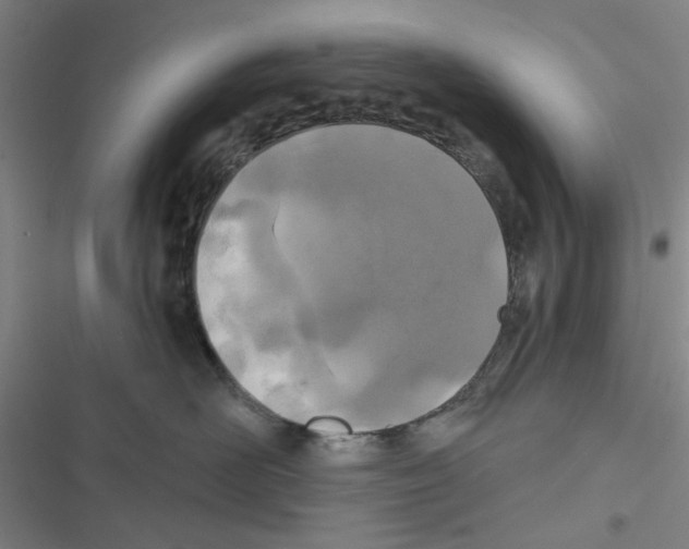 X0000116790526201001151104
