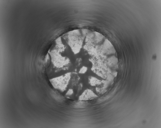 X0000116790527201001151104