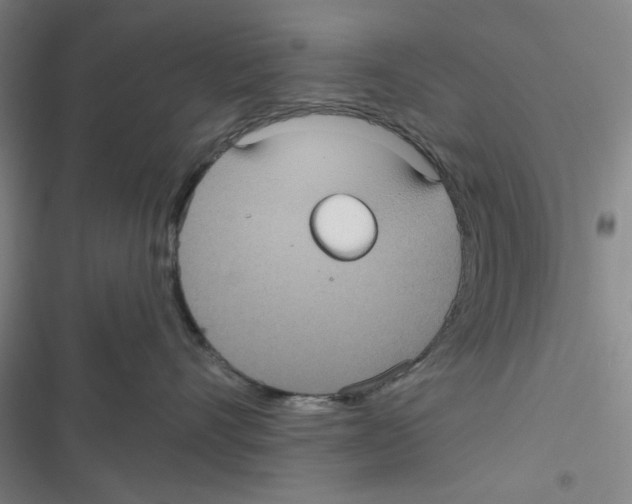 X0000116790528201001151104