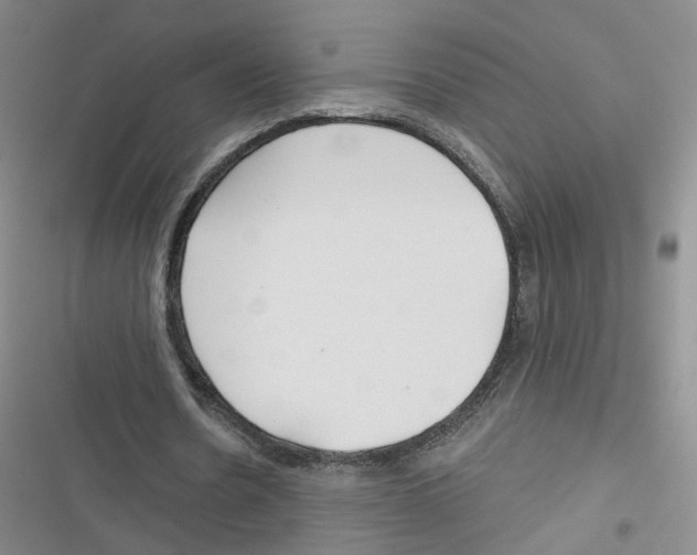 X0000116790530201001151103