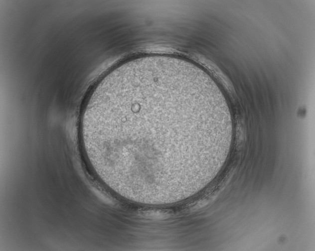 X0000116790533201001151103