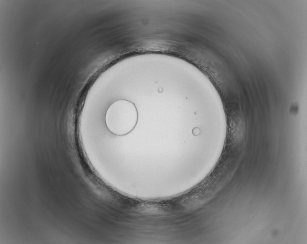 X0000116790534201001151103