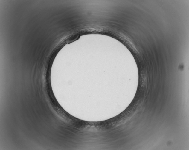 X0000116790538201001151103