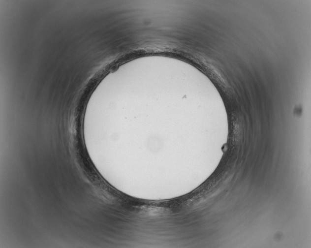 X0000116790539201001151103
