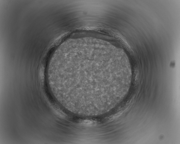 X0000116790542201001151104