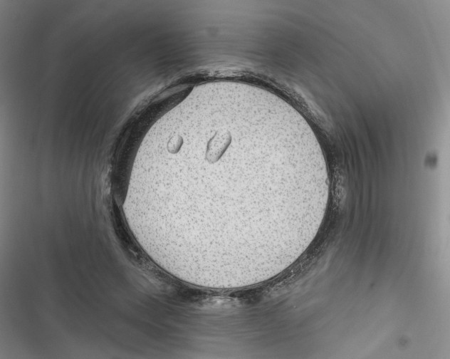 X0000116790543201001151104