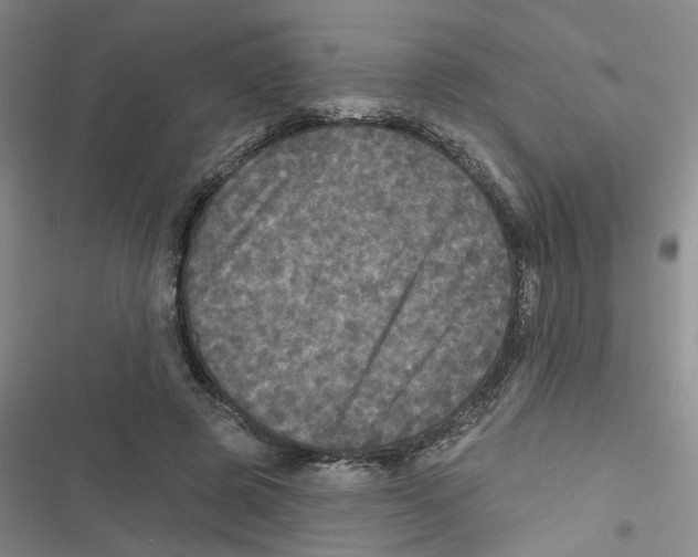 X0000116790545201001151104