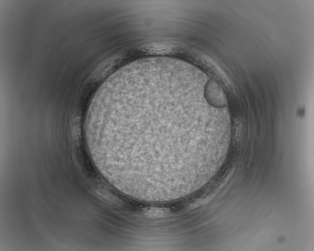 X0000116790549201001151104