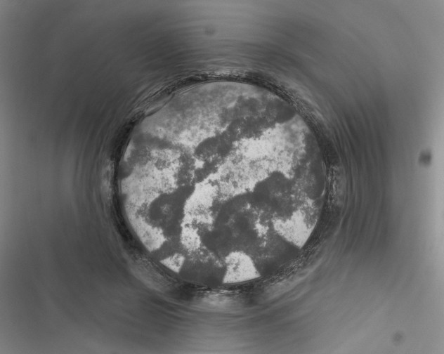 X0000116790550201001151104