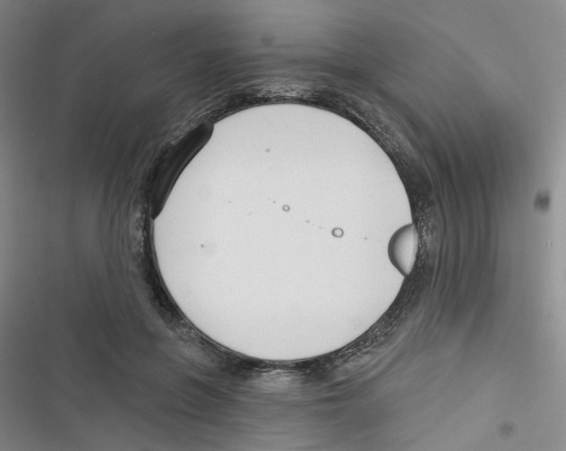 X0000116790551201001151104