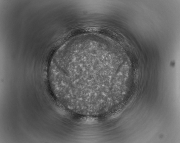 X0000116790553201001151104