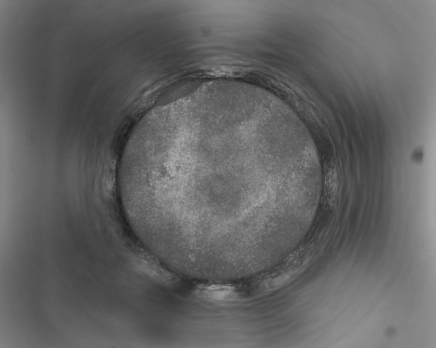 X0000116790554201001151104