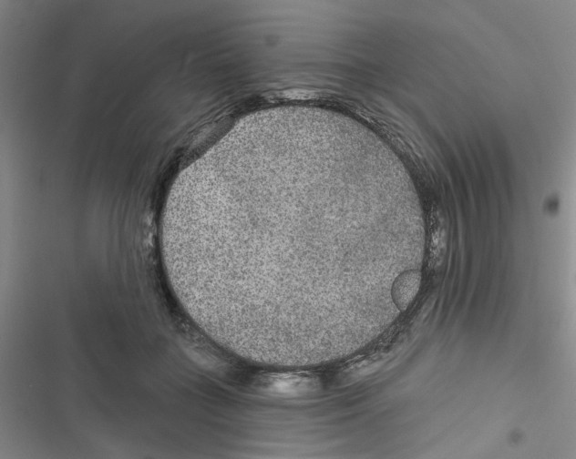 X0000116790555201001151104