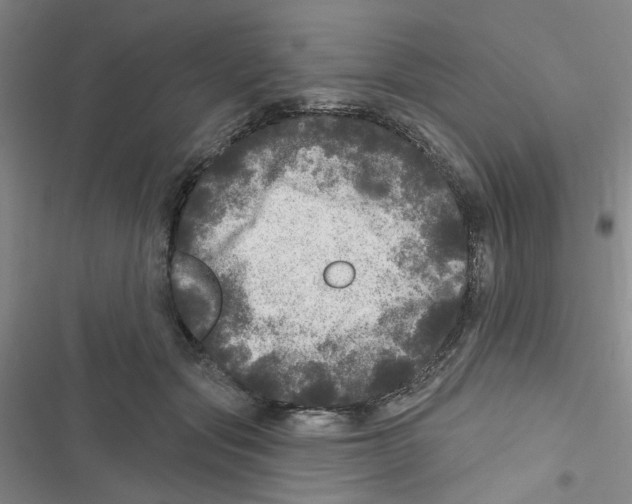 X0000116790557201001151104