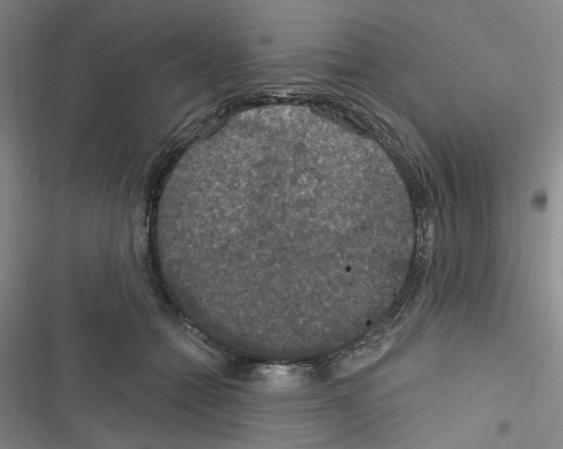 X0000116790558201001151104