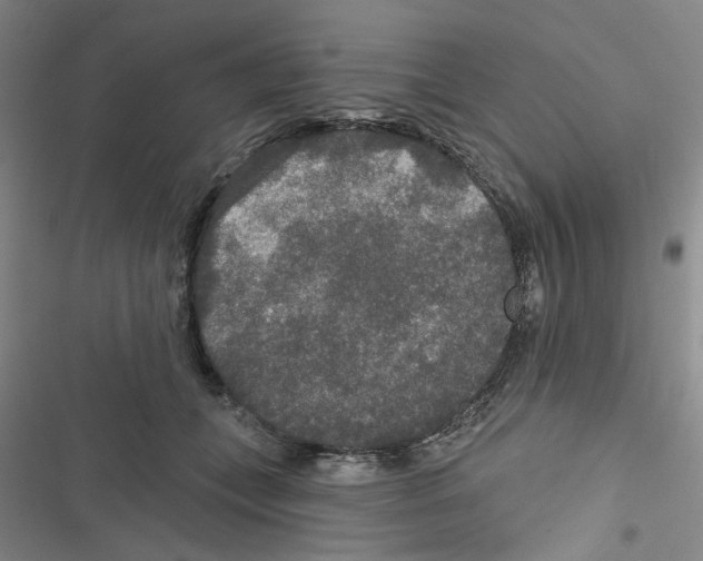 X0000116790559201001151104