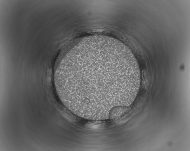X0000116790563201001151104