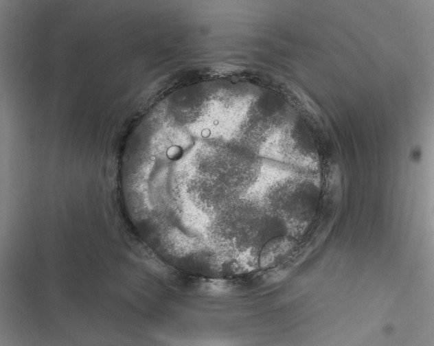 X0000116790565201001151104
