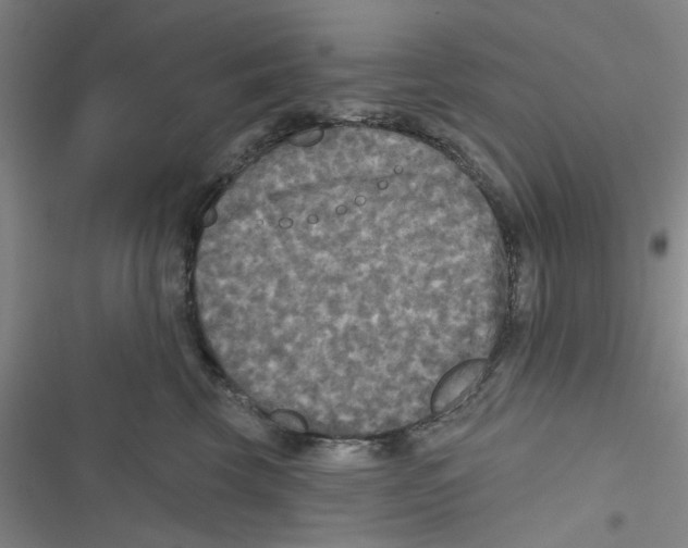 X0000116790569201001151104