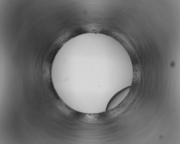 X0000116790573201001151104