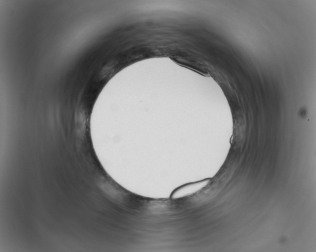 X0000116790574201001151104