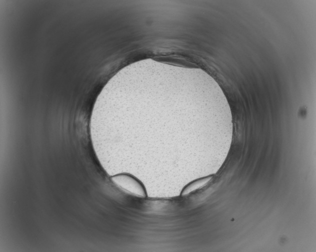 X0000116790575201001151104