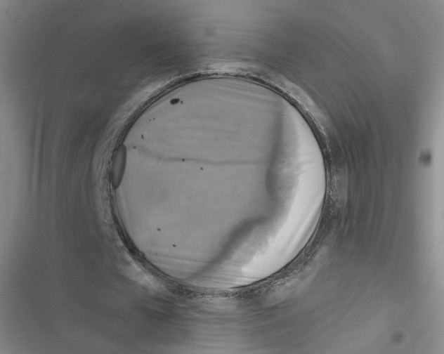 X0000116790577201001151103