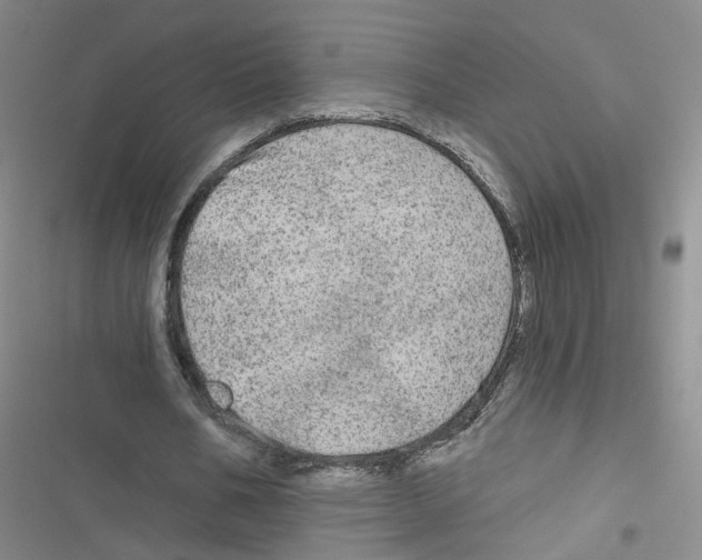 X0000116790578201001151103