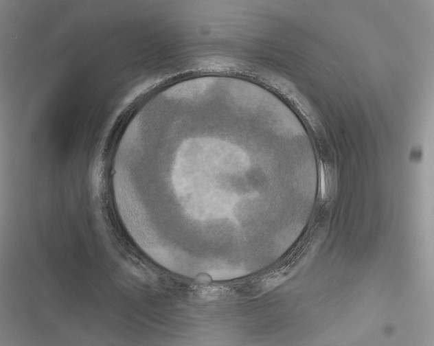 X0000116790579201001151103