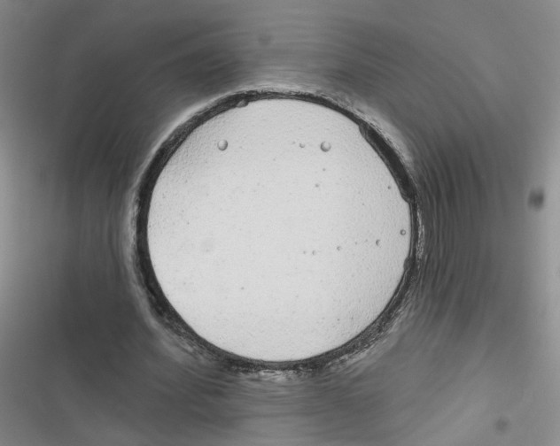 X0000116790580201001151103