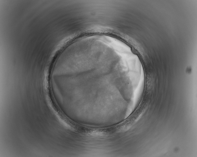 X0000116790581201001151103
