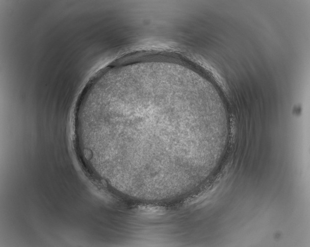 X0000116790582201001151103