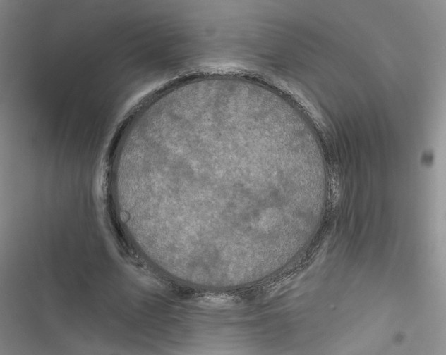 X0000116790583201001151103