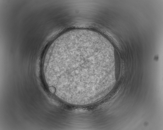 X0000116790586201001151103