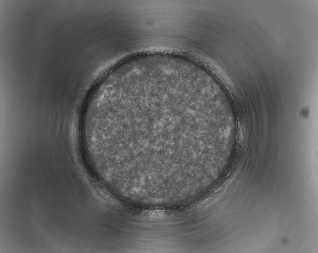 X0000116790588201001151103