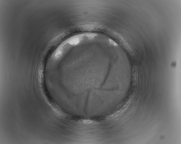 X0000116790590201001151103