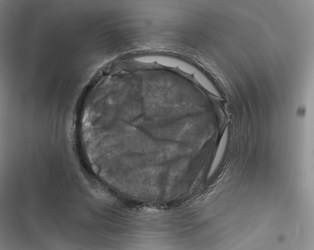 X0000116790592201001151103