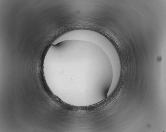 X0000116790593201001151103