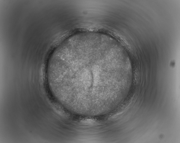 X0000116790594201001151103