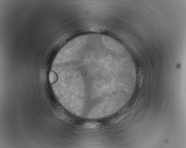X0000116790595201001151103