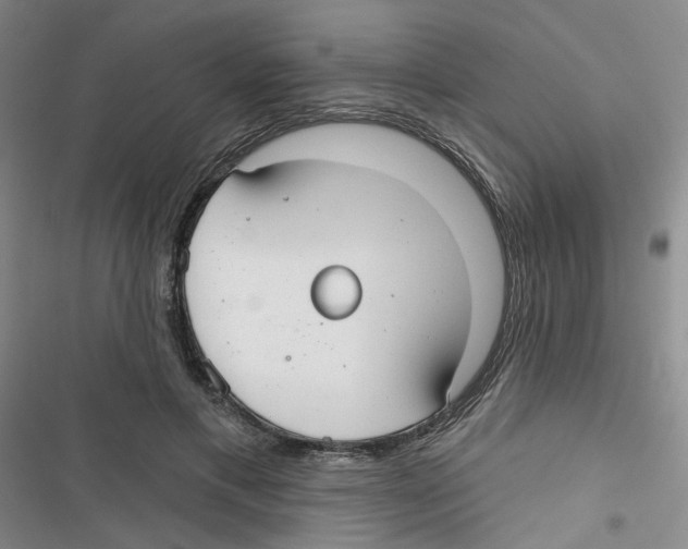 X0000116790597201001151103