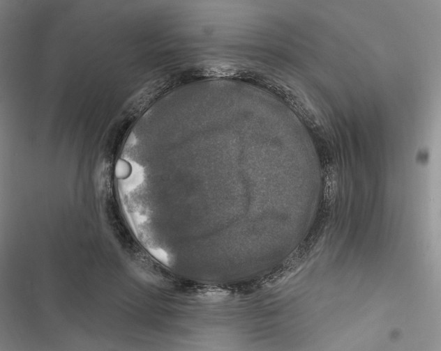 X0000116790598201001151103